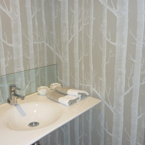 reformas-pared-banos